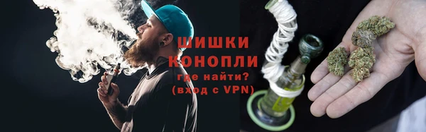 прущие грибы Сосновоборск