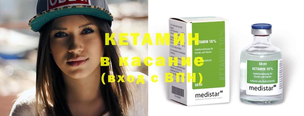 шишки Сосновый Бор