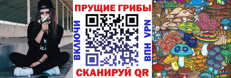 цены   Киренск  Псилоцибиновые грибы GOLDEN TEACHER 
